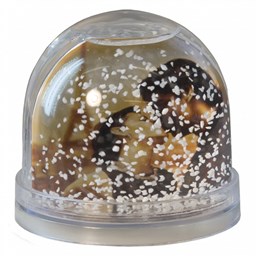 Toon details voor Photoglobe 9 x 9 cm. - met witte sneeuw Afbeelding van Photoglobe 9 x 9 cm. - met witte sneeuw