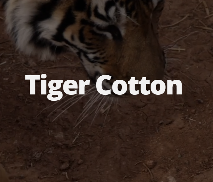 Afbeelding voor categorie Tiger Cotton® — katoen dat de tijger redt